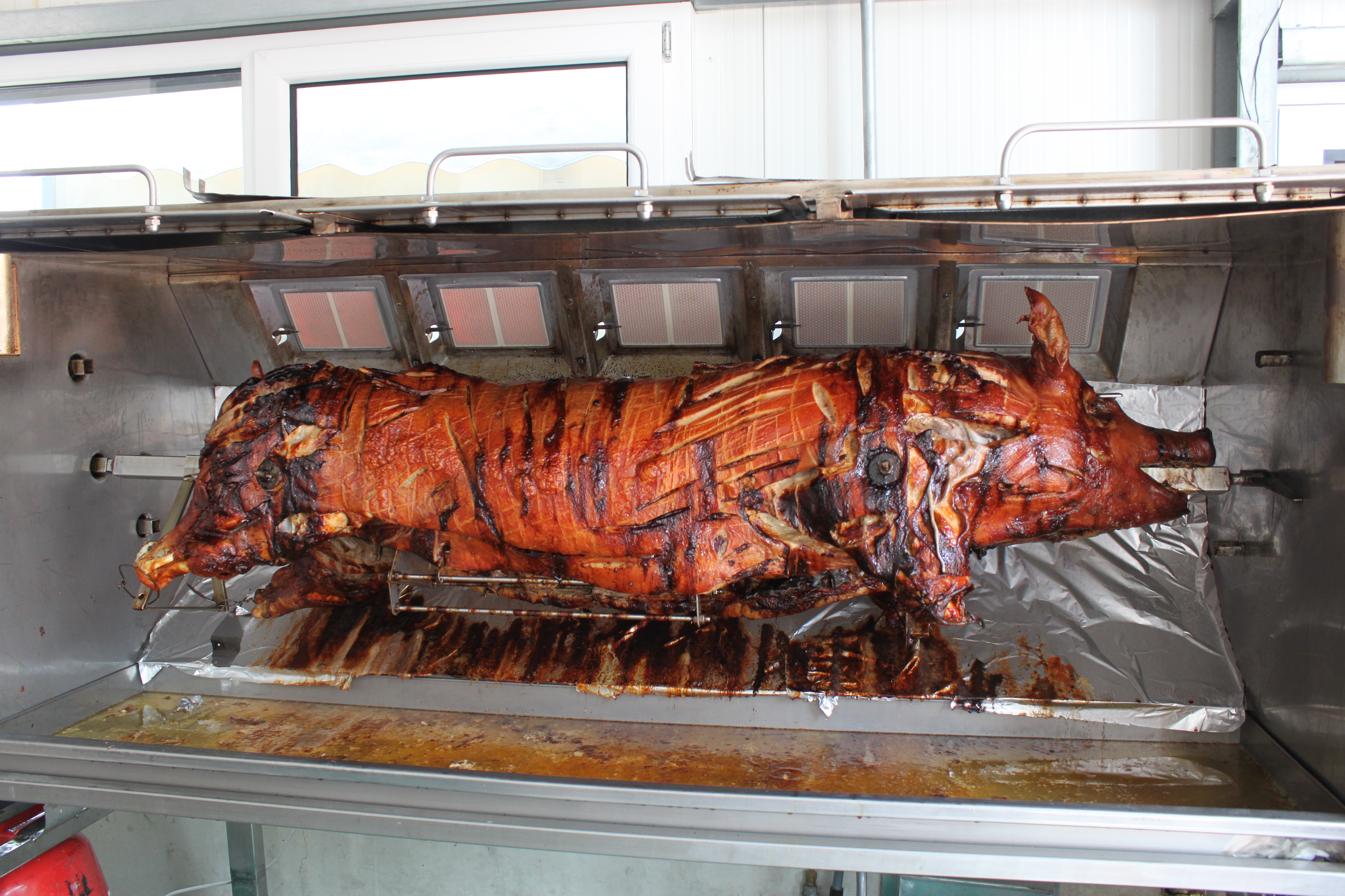 Bild derzeit nicht verf�gbar